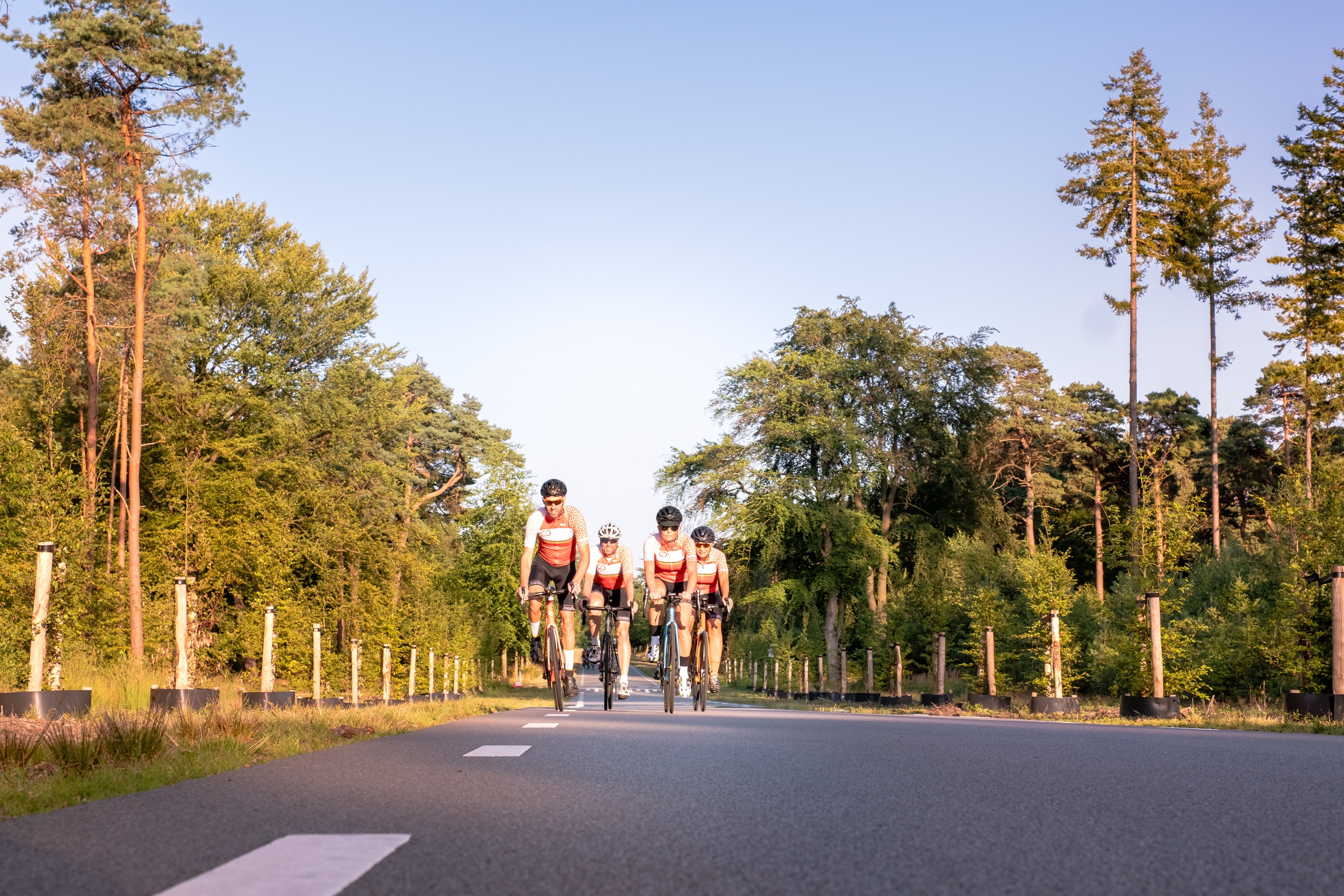 Performance bike mounts